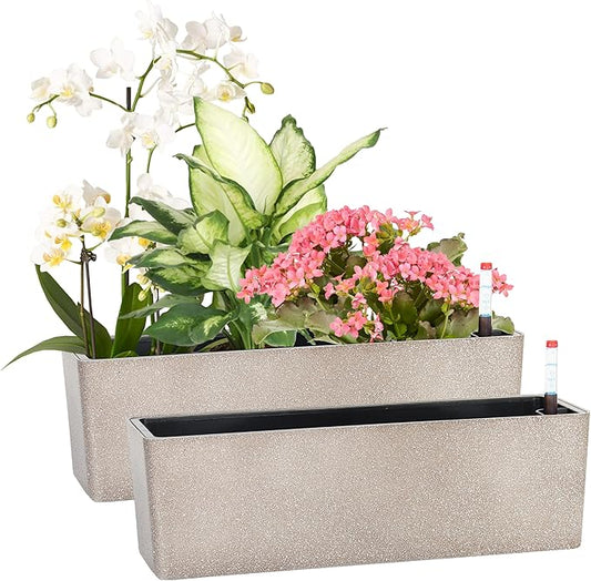 GardenBasix Elongated Self Watering Planter Pots 2-Pack Window Box 5.5 x 16 inch Indoor Home Garden Modern Decorative Pot for All House Plants Flowers Herbs (Coffee,2)