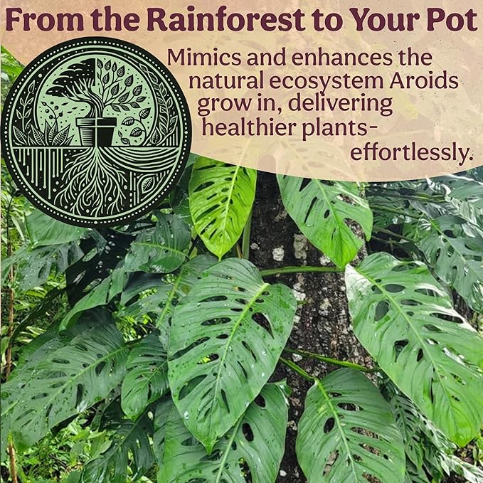 Craft Aroid Potting Mix- Elite Alocasia, Philodendron, Monstera Soil Mix, Chunky, Well Draining Potting Soil for Indoor Plants, All Tropical Plants & Houseplants, Synthetic & Peat Free 1QT
