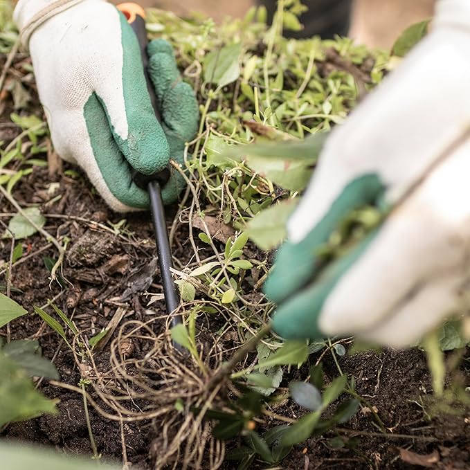 Fiskars Vegetable Garden Tool Set with Vegetable Shears, Seed Sower, Trowel, Cultivator, Weeder, and L/XL Garden Gloves for Indoor or Outdoor Gardening (6 Piece Kit)